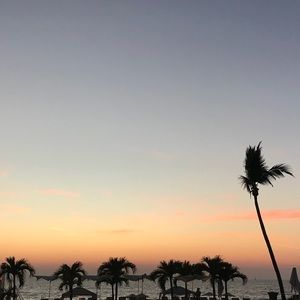 Meet your Posher, Ray